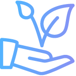 קהילת התוכן של ישראל